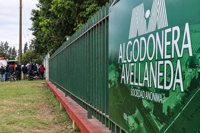 algodonera-768x512.jpg